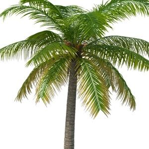 Meet your Posher, Bianca lingle